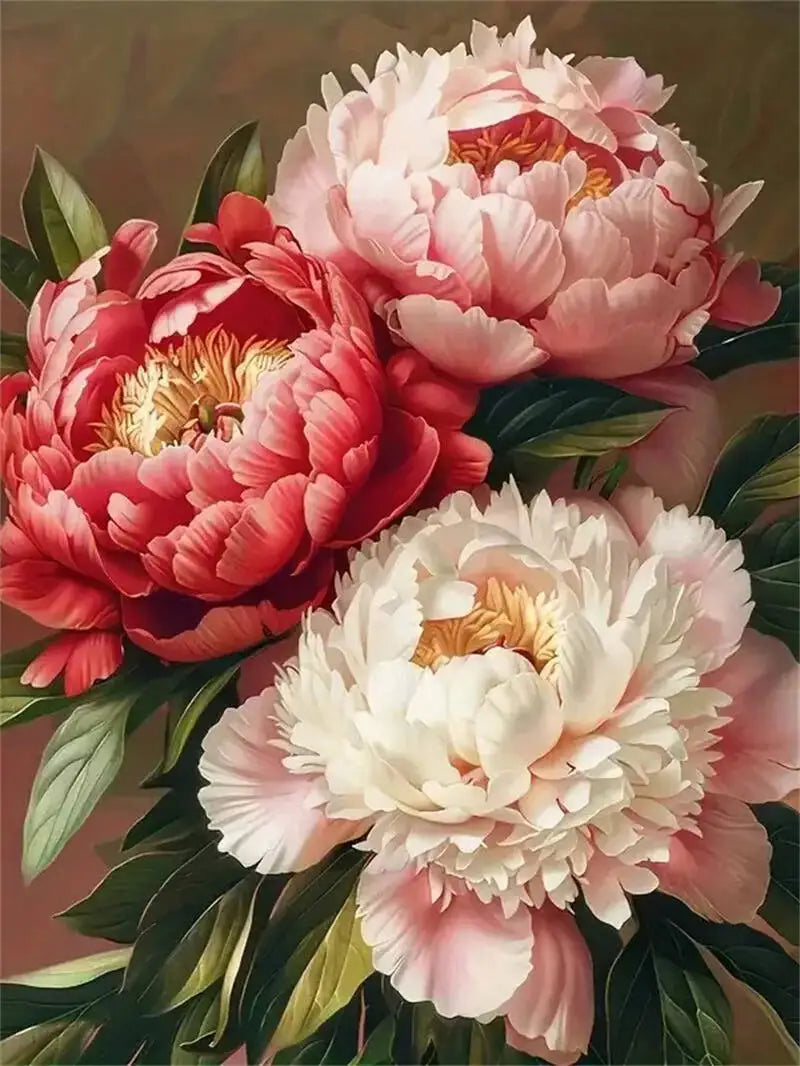 Momoart DIY Diamond Mosaic Peony Flower Full Square / Round Drills
