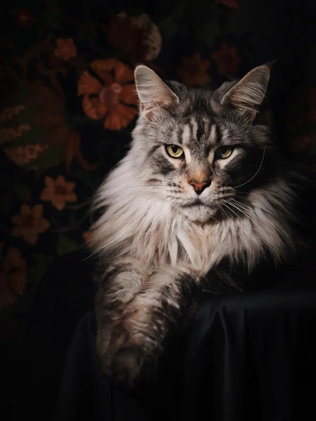 New Maine Coon DIY Diamond Art Painting Kits Crafts Big Cats Portrait Sets Embroidery Mosaic Hand Gift Home Decor Cross Stitch