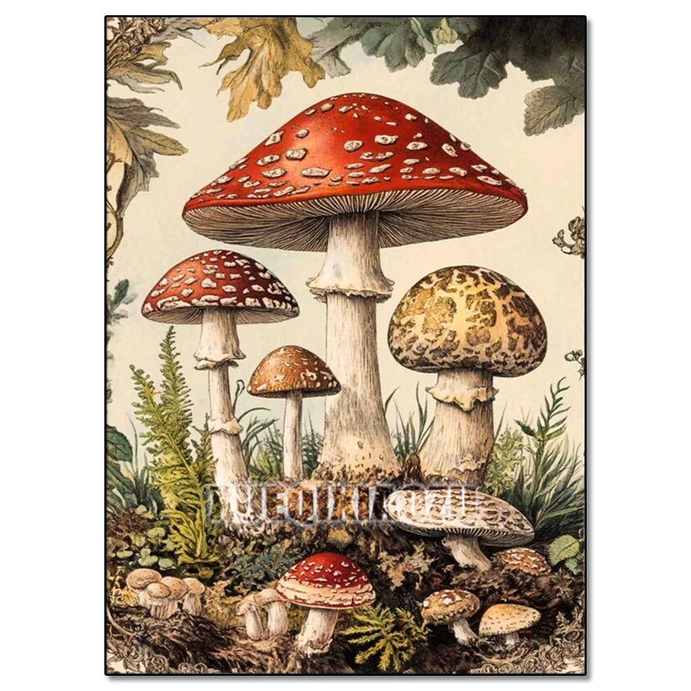 5D DIY Diamond Painting Kit Mushroom, Butterfly, Frog