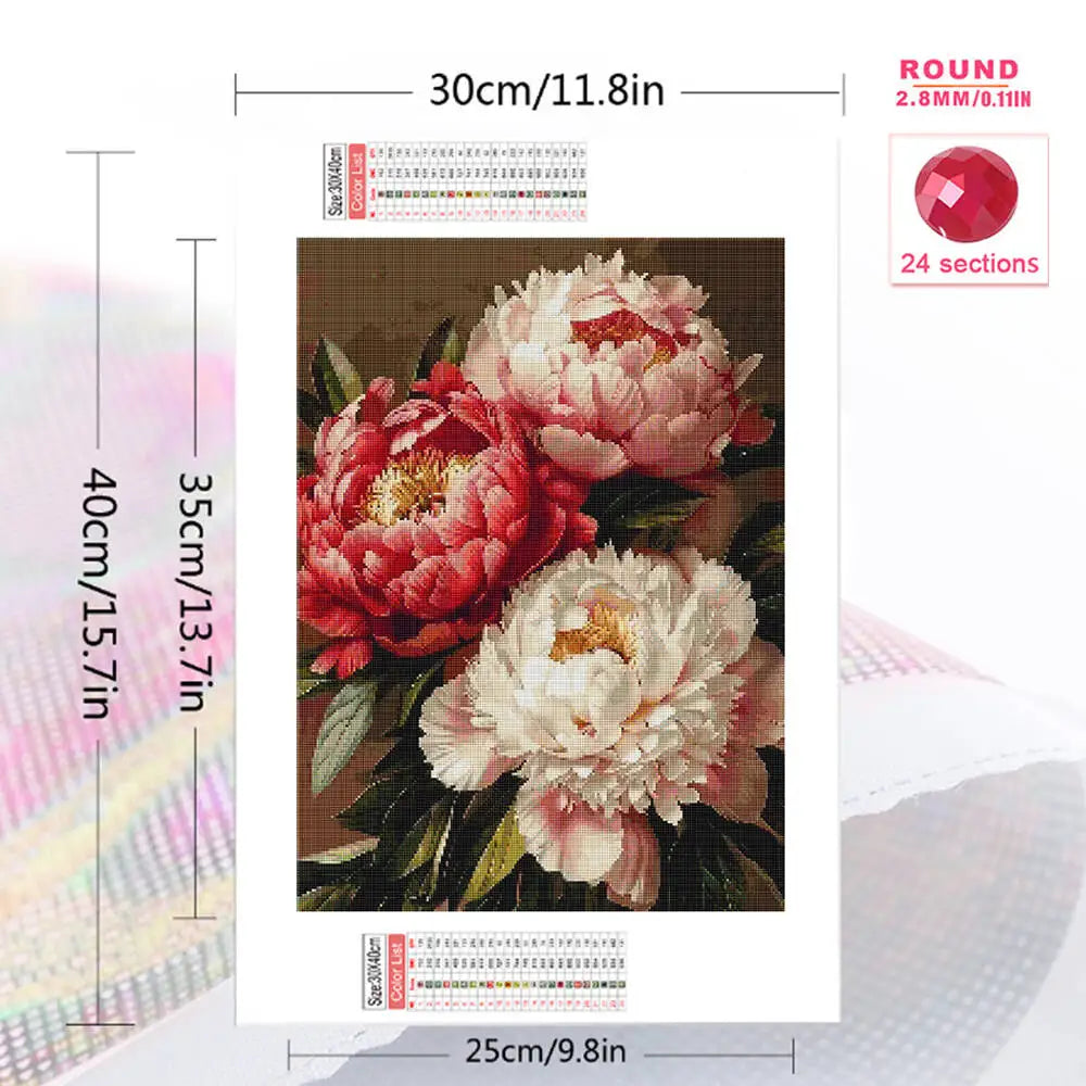 Momoart DIY Diamond Mosaic Peony Flower Full Square / Round Drills