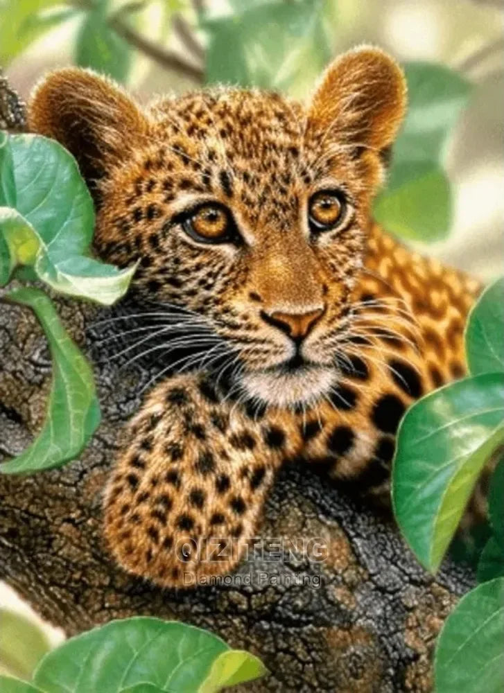 5D DIY Diamond Painting Tiger / Cheetah Full Square / Round Drill