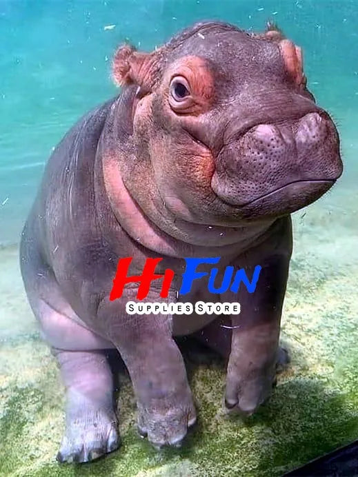 5D DIY Diamond Painting Hippo In Shower Full Square / Round Drill