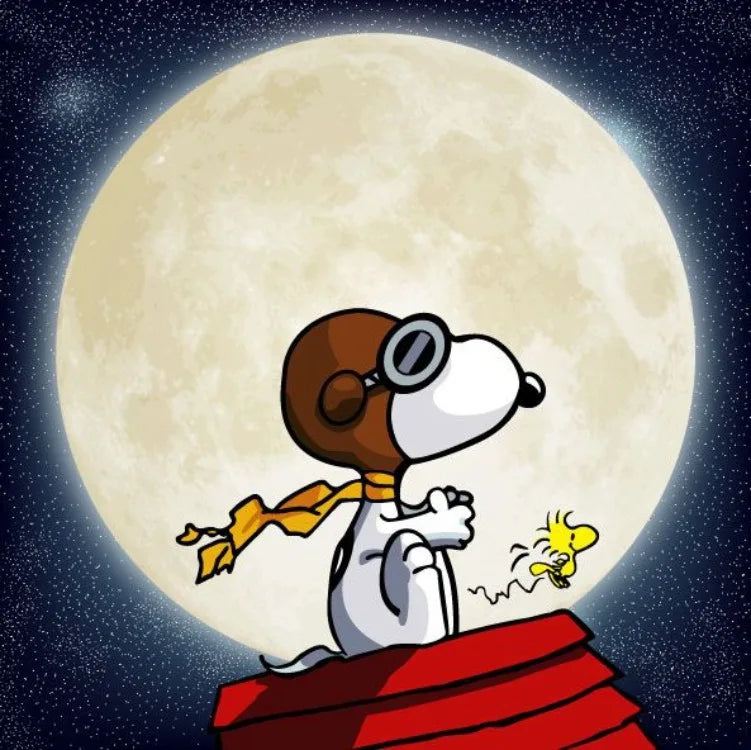 Cartoon Comics Snoopy Diamond Painting DIY Full Round Drill